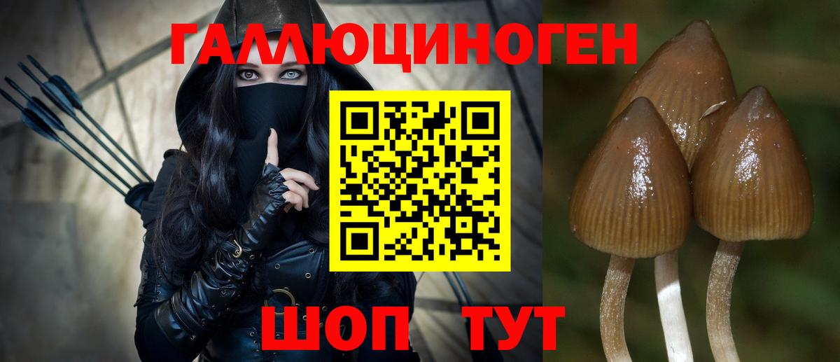 купить наркотики цена  Псилоцибиновые грибы Magic Shrooms  Вход с VPN  Конаково 
